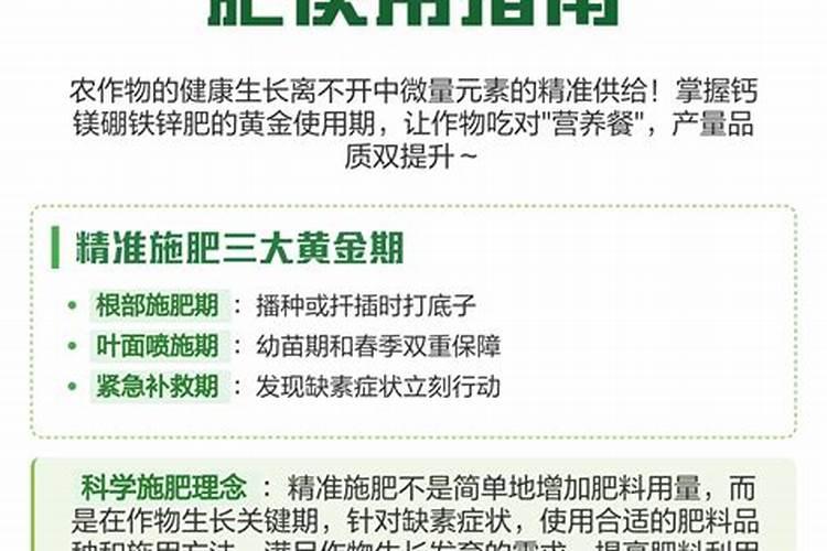 钙肥使用指南