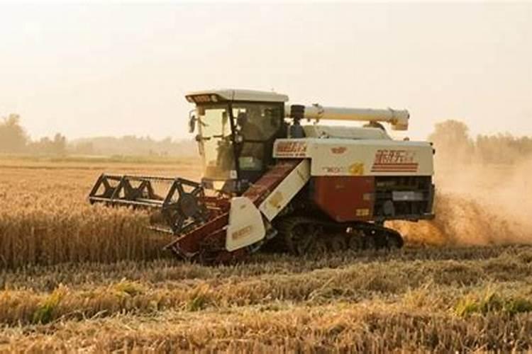 黄豆开花期,能喷吡虫啉吗？