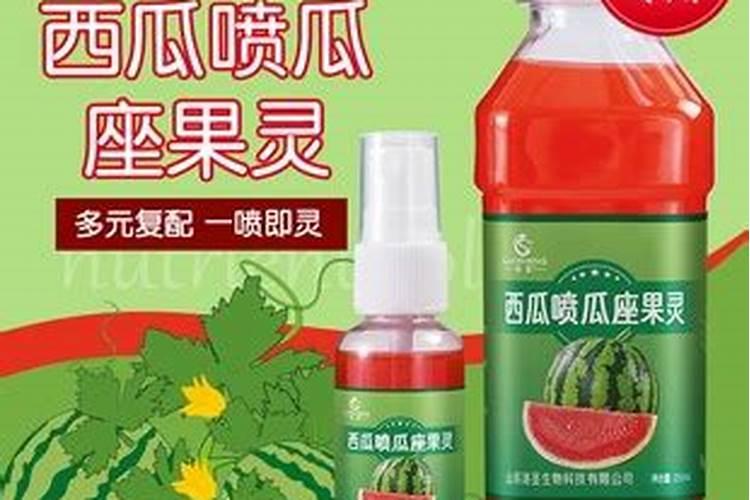 瓜果喷什么药能提高坐果率
