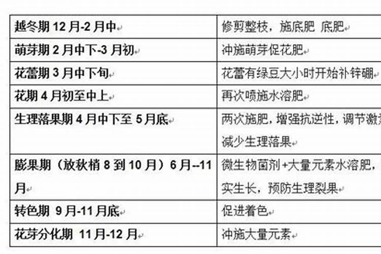 柑橘全年施肥时间表