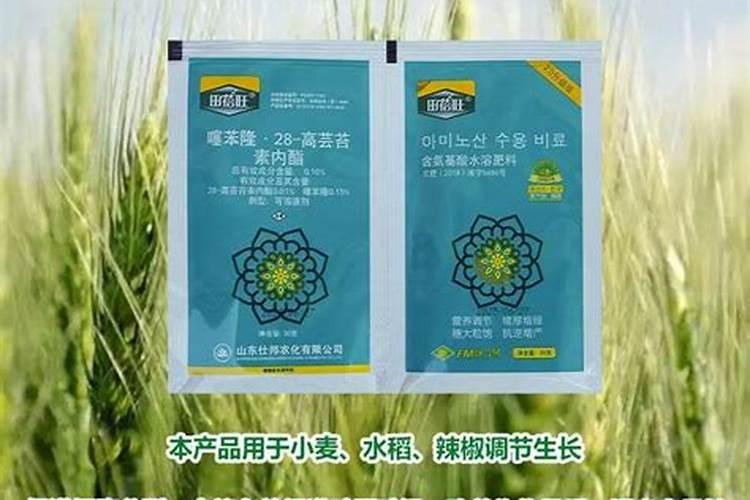 芸苔噻苯隆在大蒜上的使用