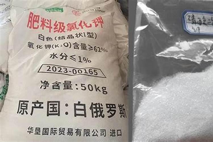 棉花肥料与钾肥的区别在哪？