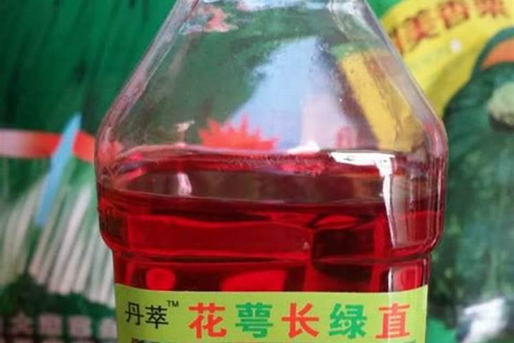 西红柿打什么药长得好又高产