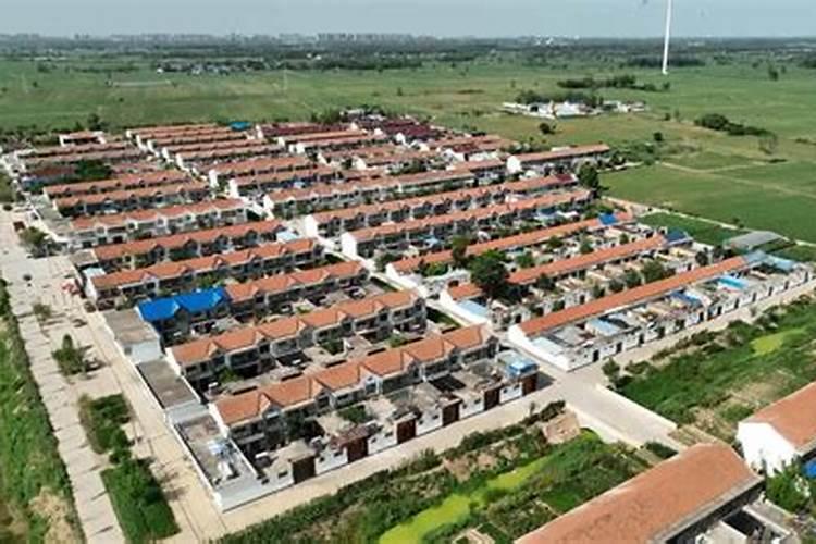 菏泽市定陶区红景天生物肥业有限公司怎么样？