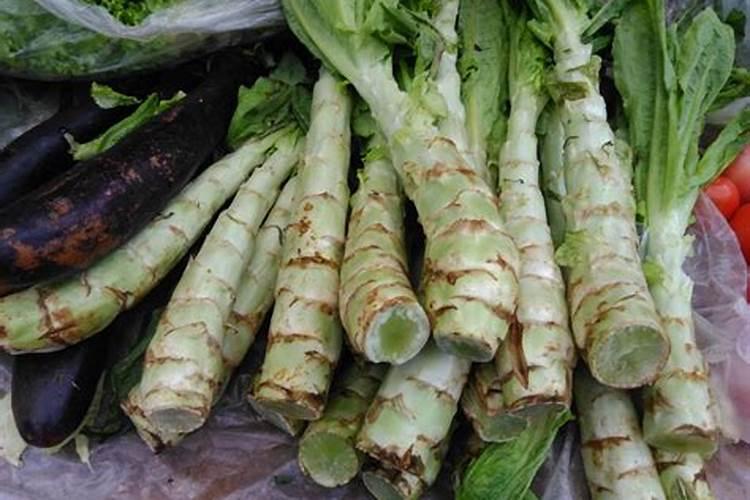 莴苣什么时候硼大