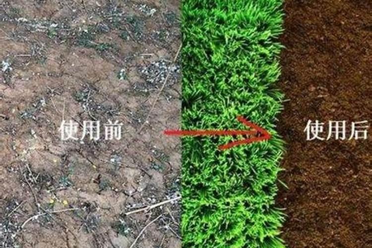 土壤改良剂的使用方法