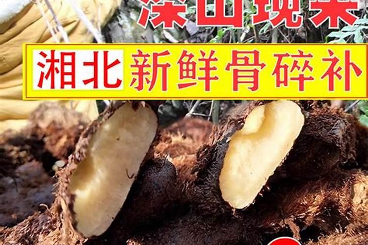 班鱼可以放骨补碎一起煲汤吗？