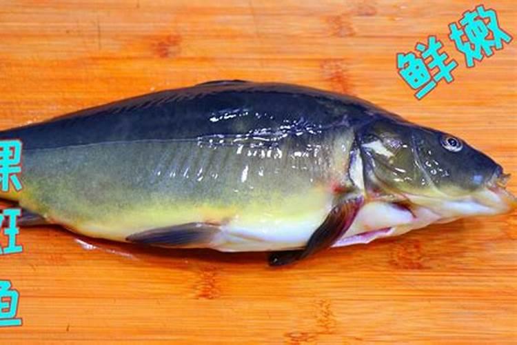 裸班鱼好吃还是鲫鱼好吃