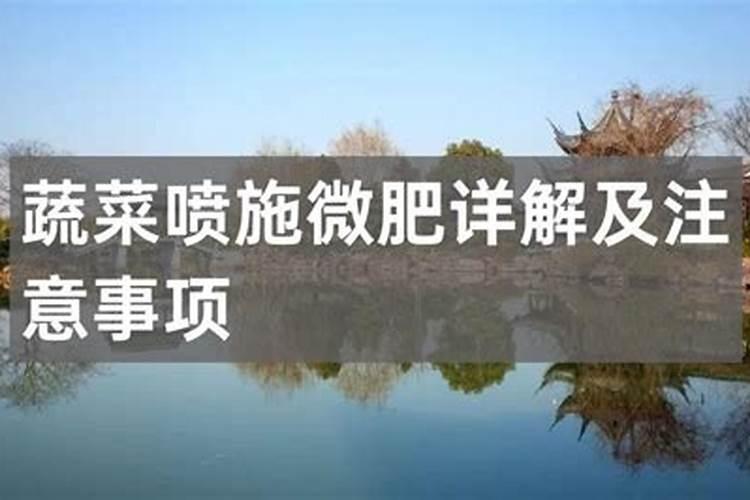 蔬菜幼苗施尿肥注意事项