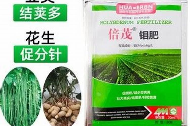 大豆结荚打硼钼肥好吗