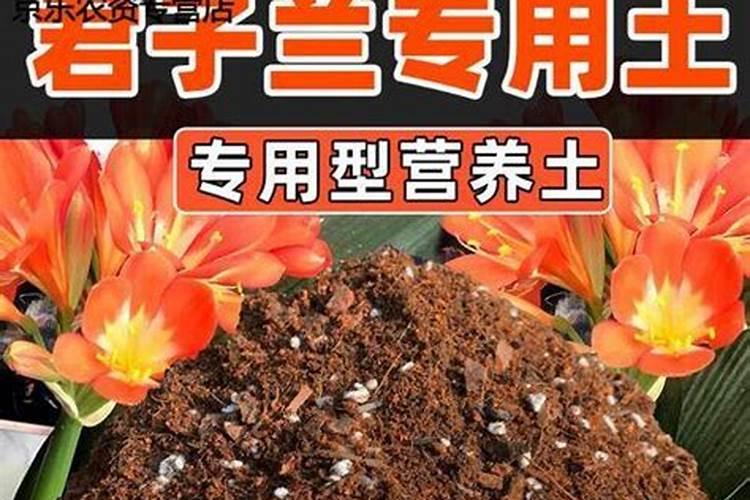 如何自制花的肥料、营养水？