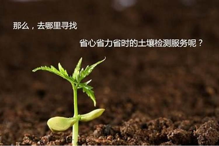 如何用土办法测出化肥的氮磷钾含量