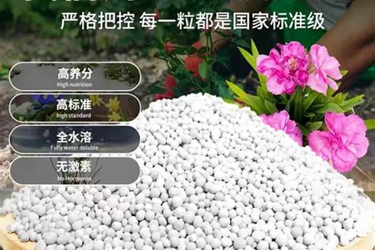 氮磷钾养花怎么用效果最好