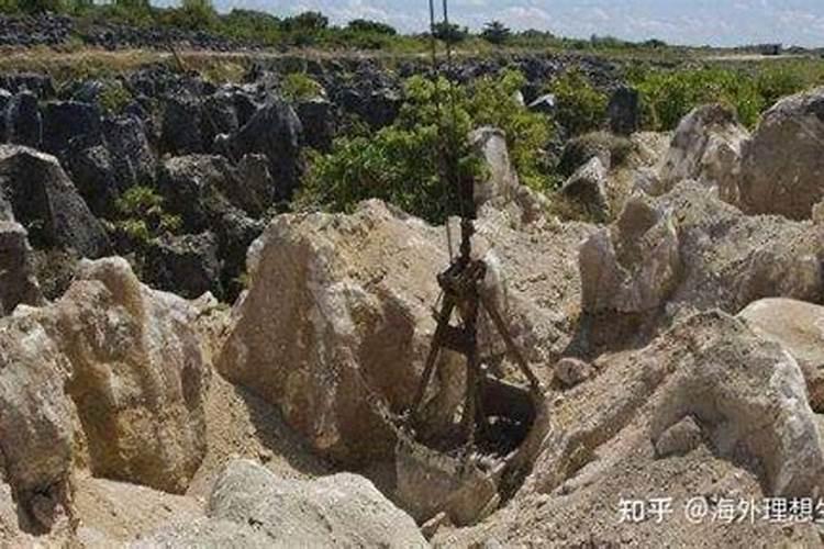 瑙鲁出口鸟屎有什么用