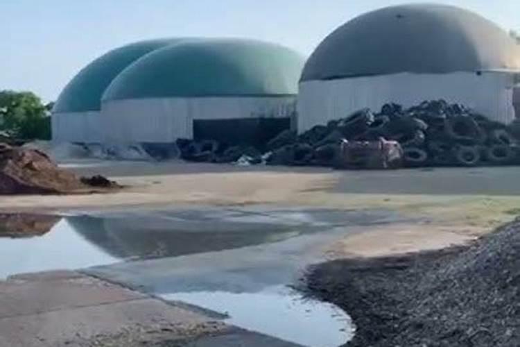 遂宁哪里能买到便宜的有机肥