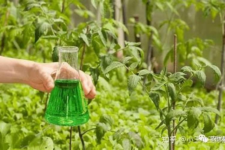 为什么要选择液体缓释氮肥？农优尚诚