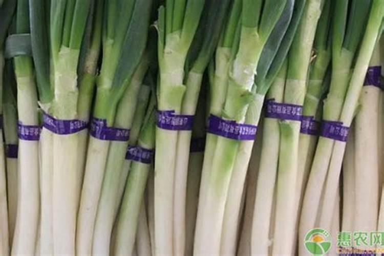 大葱一亩地使多少氮肥最好？