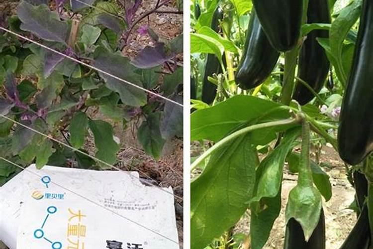 水溶肥要不要用？