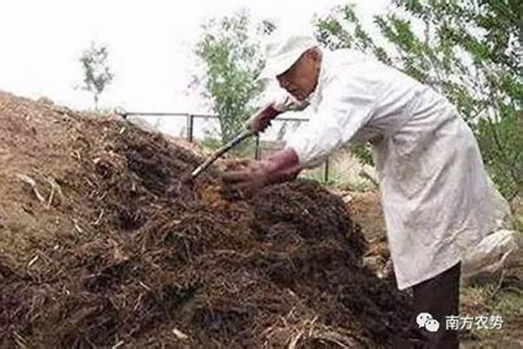 农家肥如何做成菌肥？