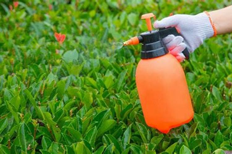 硫酸二氢钾肥用法 硫酸二氢钾肥用法是什么