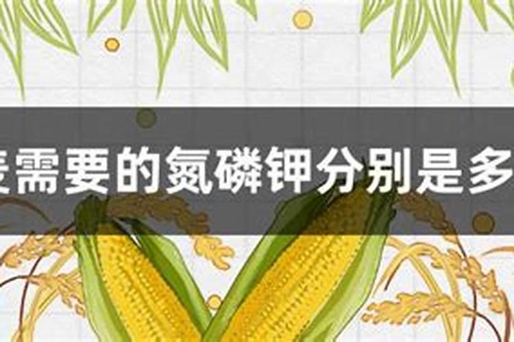 小麦需要的氮磷钾分别是多少