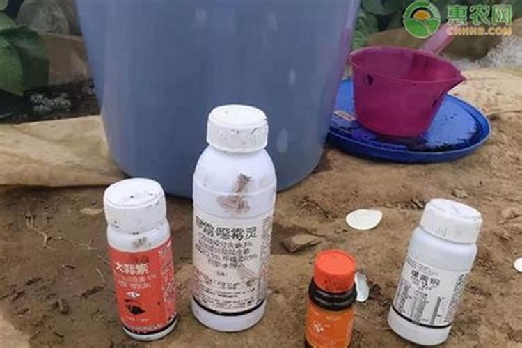 铜制剂杀菌剂不能与哪些药混用