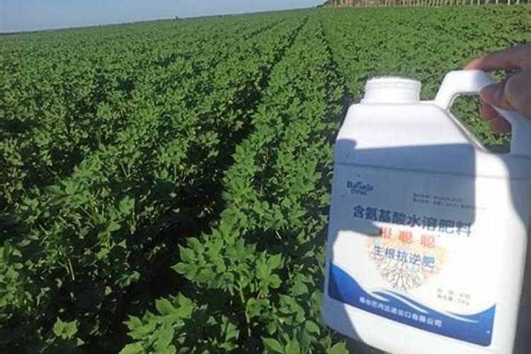 赤勺根茎类药材什么样的水溶镁肥喷施最好