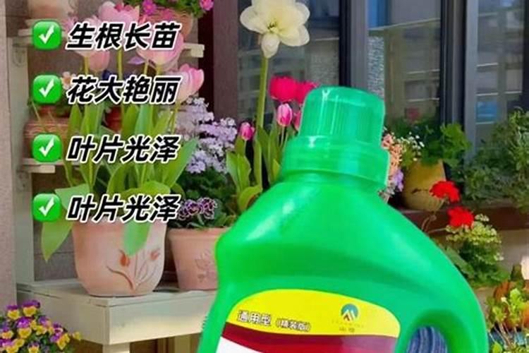 花的营养液是不是腐殖酸性的？