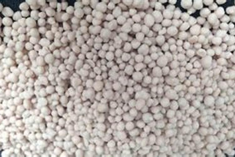 颗粒有机肥可以用水熔化了浇花吗