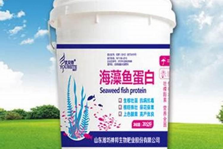 邦丰海藻鱼蛋白原将多少钱1桶韭菜用时那种好