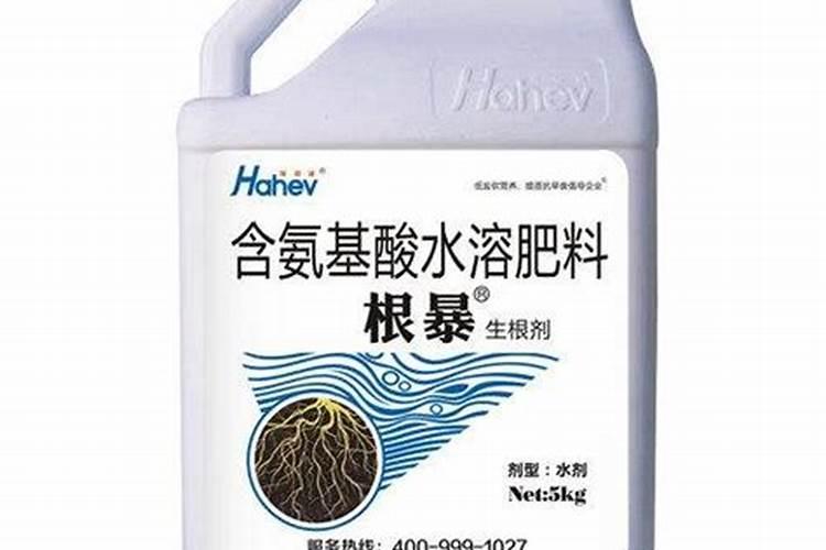 生根剂哪个好
