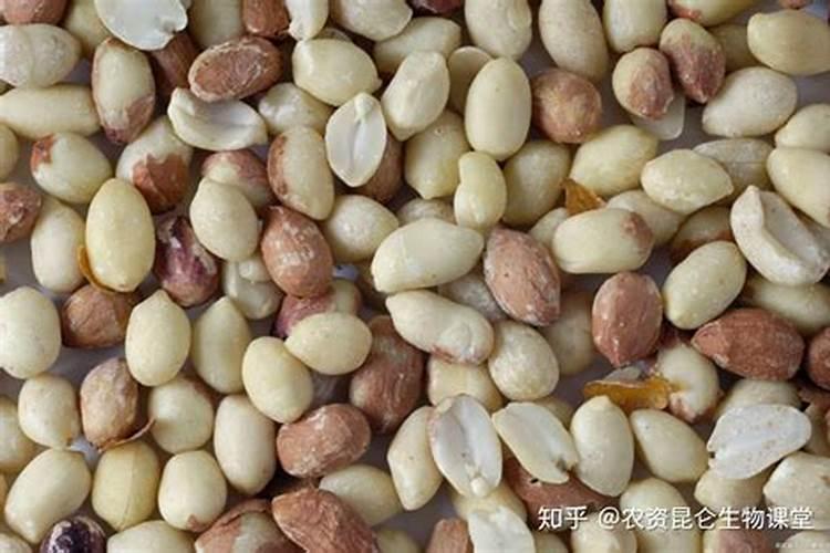 花生需要哪些肥料