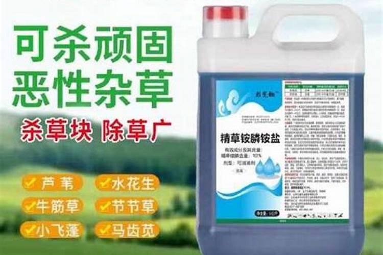 以后多长时间可以打除草剂