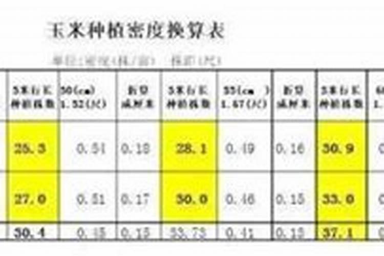 水果玉米亩株数