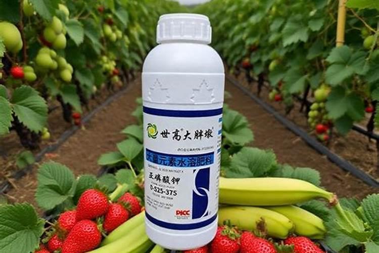 亚磷酸钾控旺什么时候打效果最好？