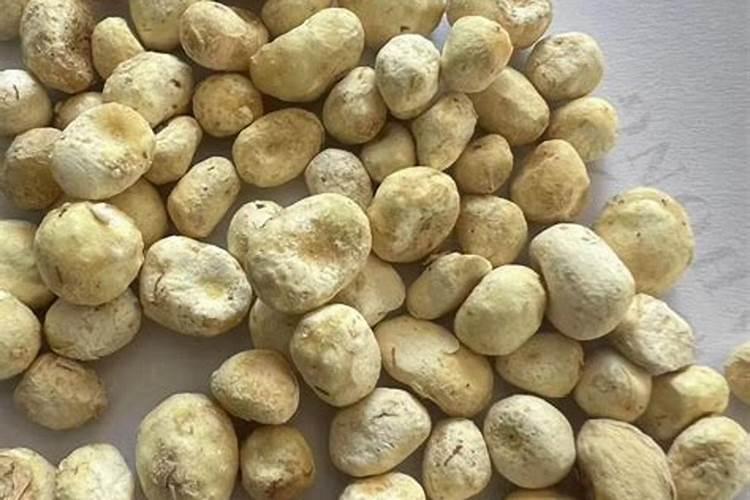 中药材半夏用什么肥料可以生根？中药材半夏生根用干什么肥料好？