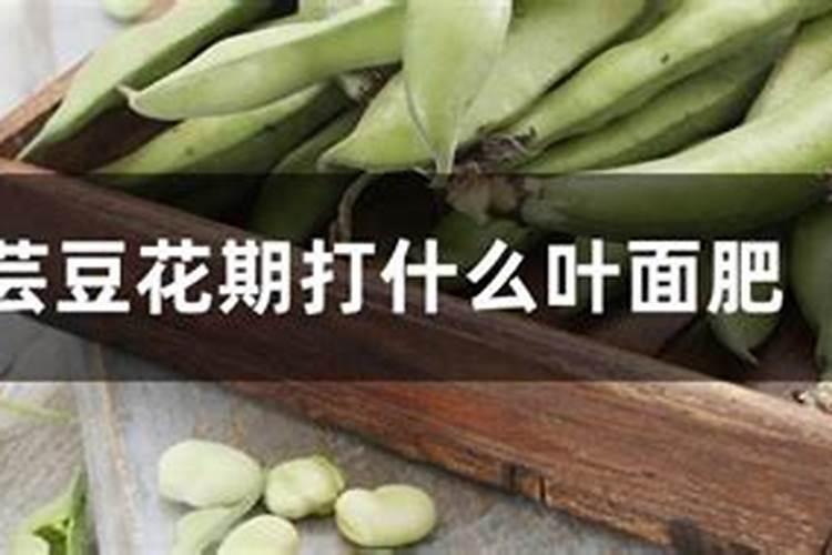 芸豆花期打什么叶面肥