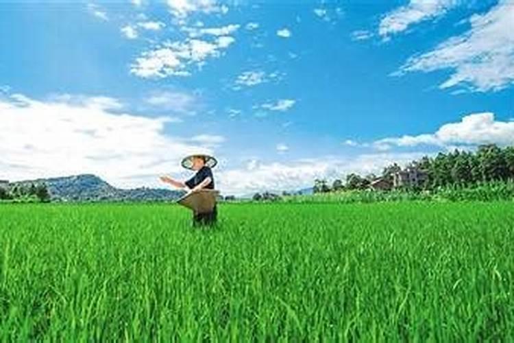 搞农业有“钱途”吗？