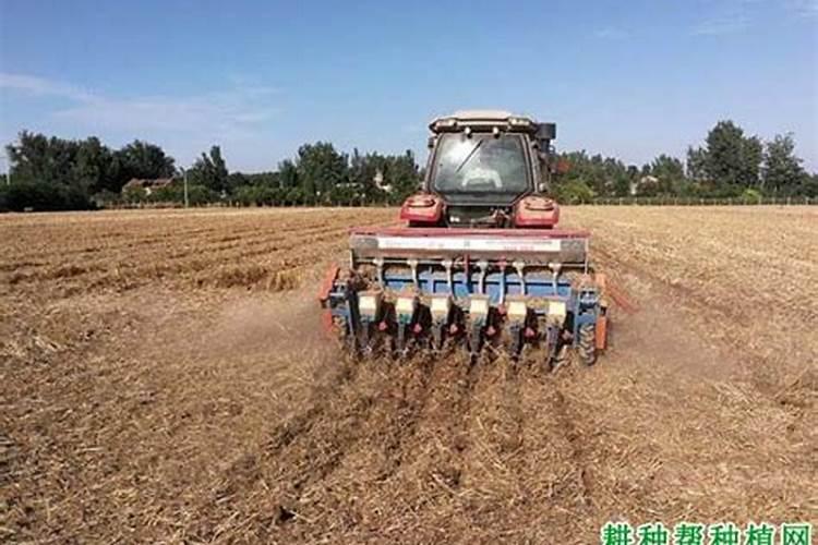 大豆配方施肥技术