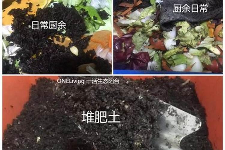菜叶子怎么做肥料
