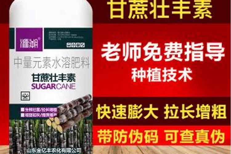 甘蔗膨大用什么叶面肥最好？