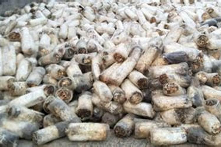 废菌棒怎么做营养土