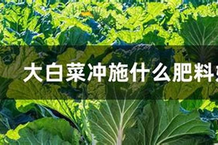 大白菜冲施什么肥料好