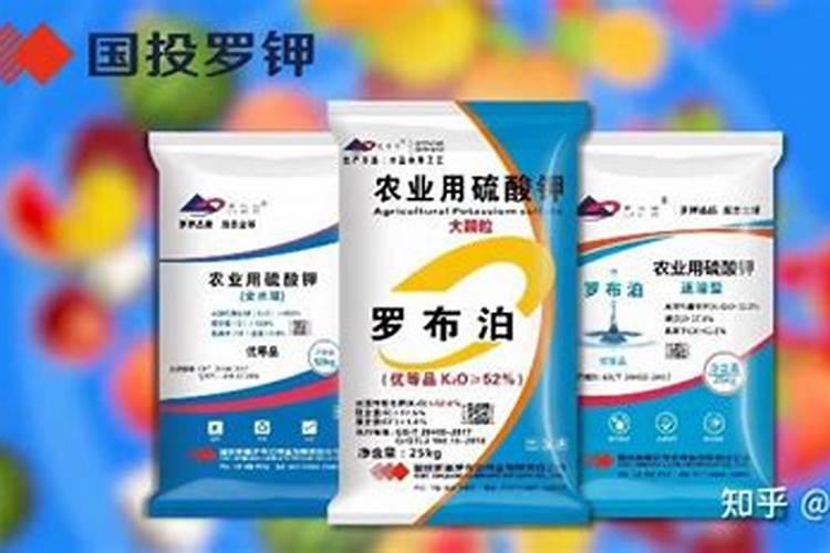 国投有哪些钾肥资源公司？