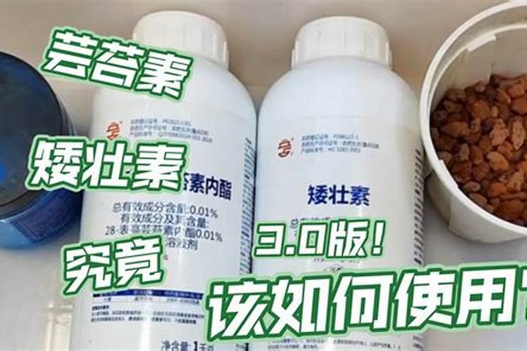 花生芸乐收可以和矮壮素一起打吗