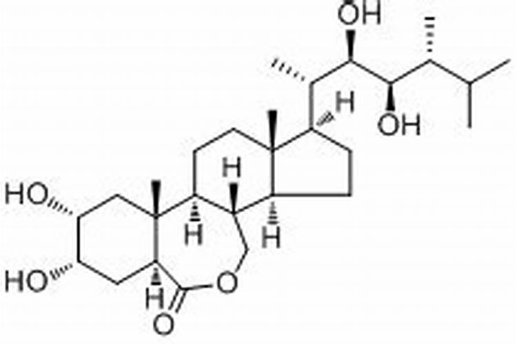 芸苔素内酯有几种结构组成？