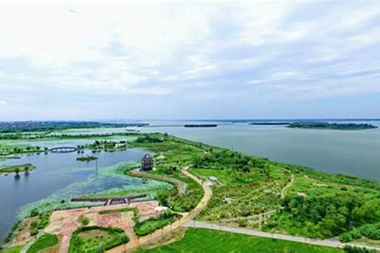 衡水湖复合肥怎么样