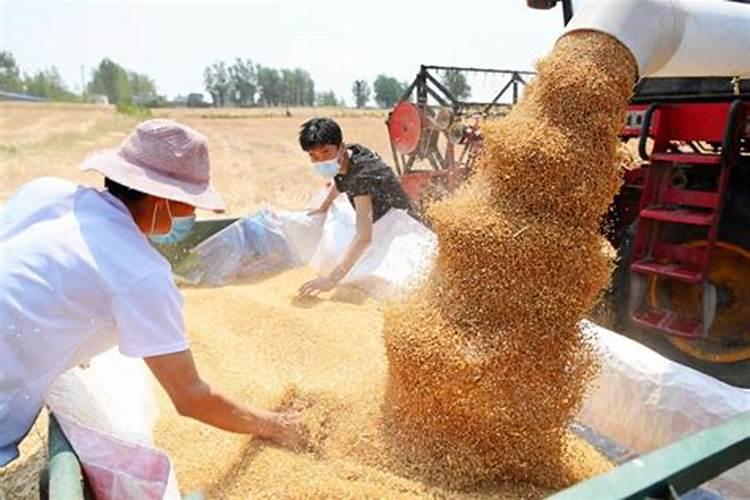 各地气象部门强化预警服务应对干热风:守护第一镰 助力粮满仓百度知 ...