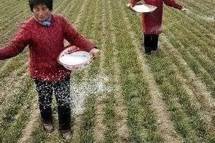 钾肥撒地里多久融化完？