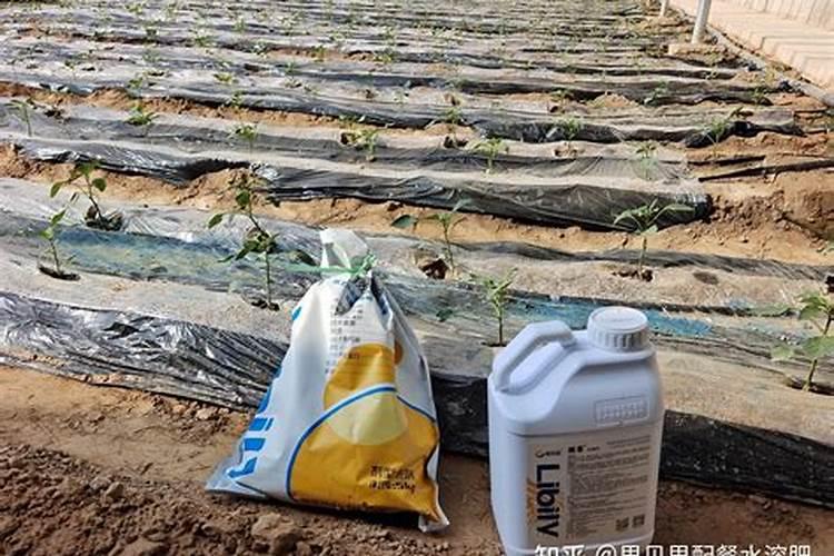 微量元素水溶肥哪家好？